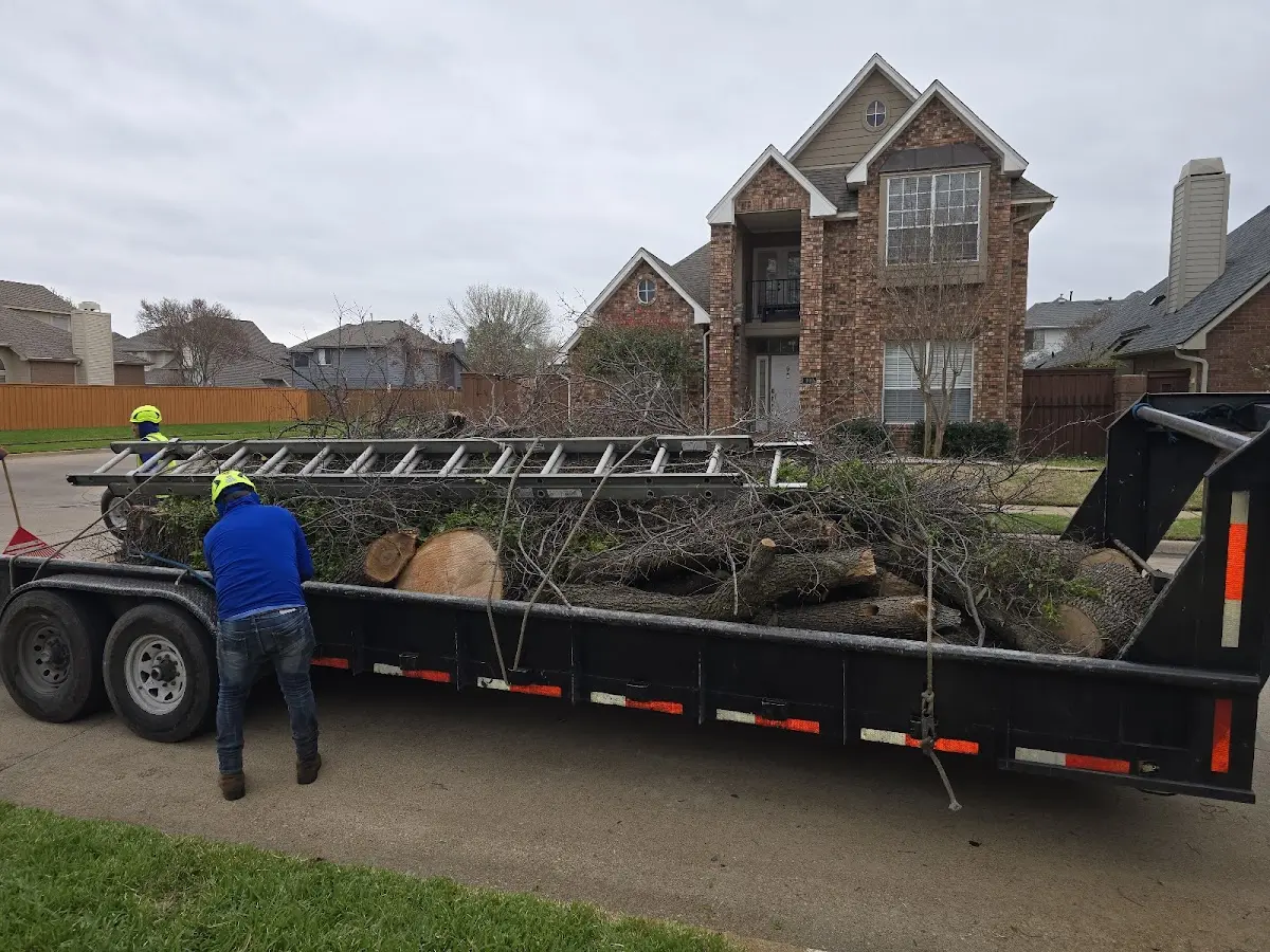 Expert Tree Removal with proper safety equipment in Town Creek